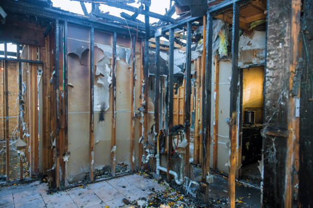 Professional Fire Damage Restoration technician working in Apollo Beach, FL