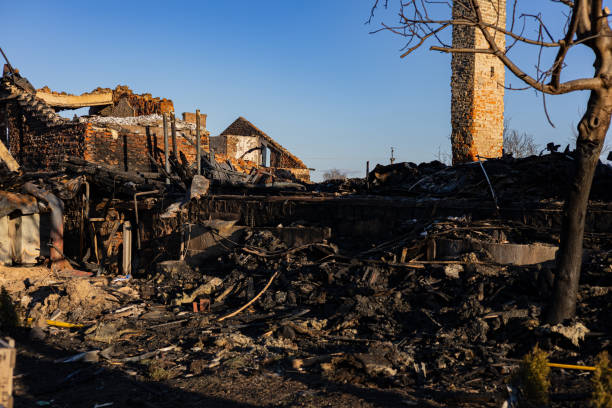 Reliable Fire Damage Restoration contractor in Apollo Beach, FL by Fire Damage Doption