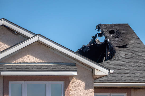 Top rated local Fire Damage Restoration specialists in Apollo Beach, FL